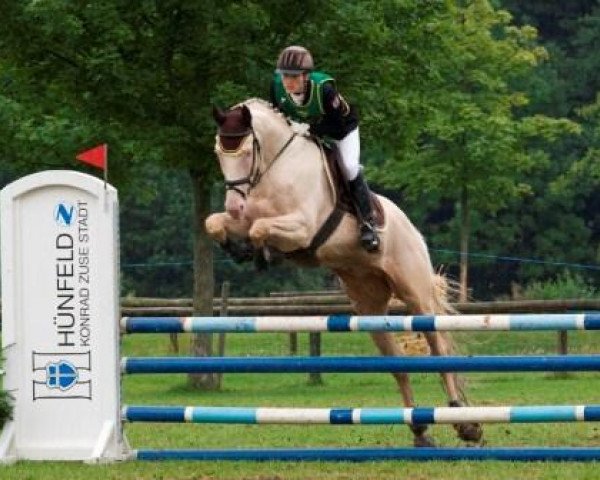 stallion Rff The Alchemist xx (Thoroughbred, 2003, from Rff King's Ransom xx)