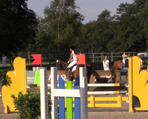 Großes Reit- und Springturnier Herbern 2014