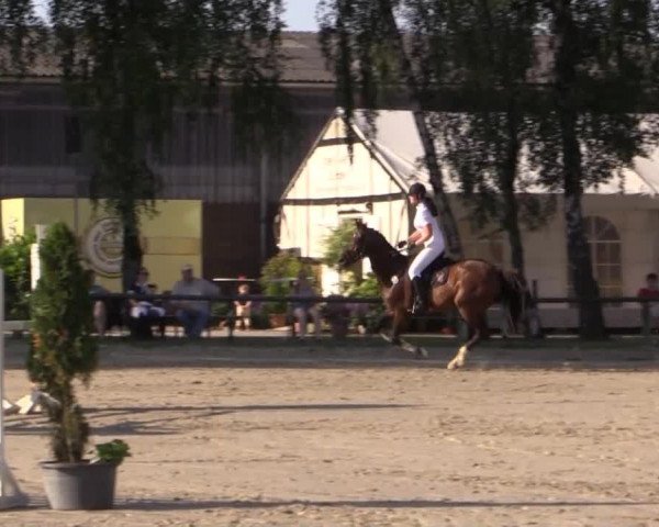 Großes Reit- und Springturnier Herbern 2014
