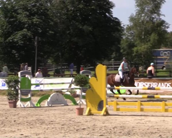 Großes Reit- und Springturnier Herbern 2014