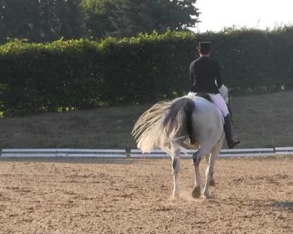 Dressur- und Springturnier Vlotho-Exter 2014