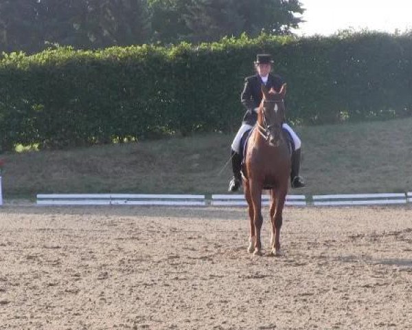 Dressur- und Springturnier Vlotho-Exter 2014