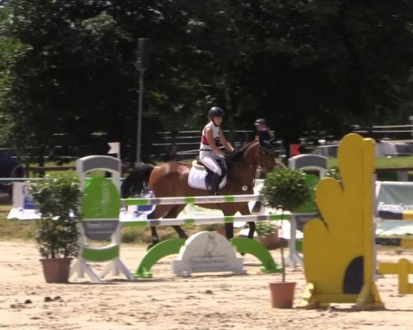 Großes Reit- und Springturnier Herbern 2014