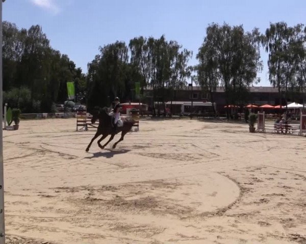 Großes Reit- und Springturnier Herbern 2014