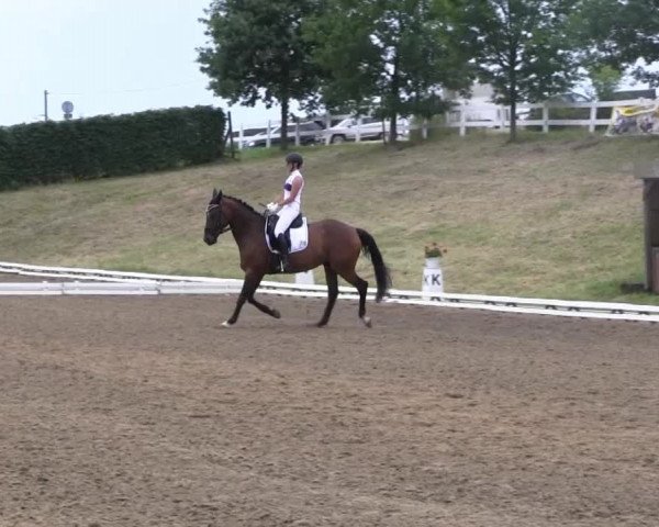 Dressur- und Springturnier Vlotho-Exter 2014