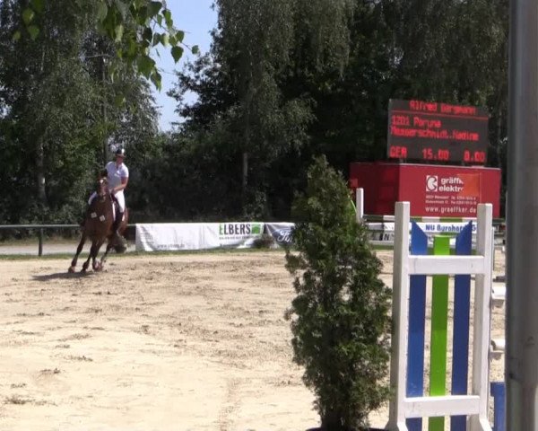 Großes Reit- und Springturnier Herbern 2014