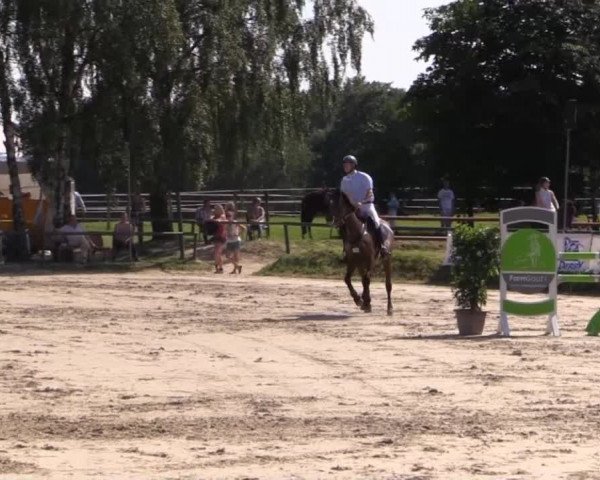 Großes Reit- und Springturnier Herbern 2014