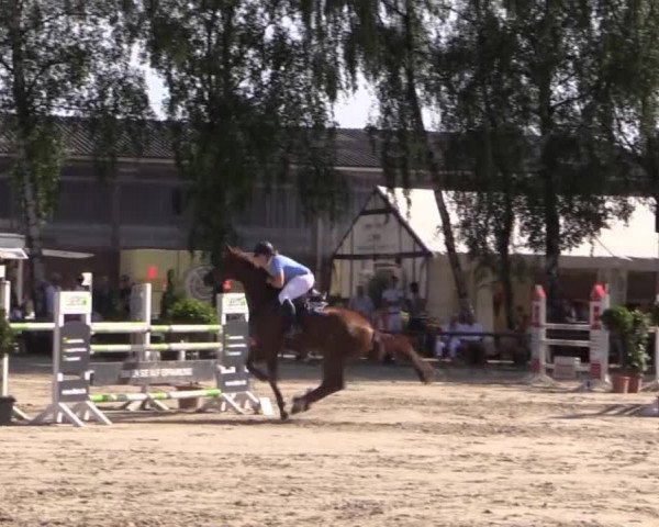 Großes Reit- und Springturnier Herbern 2014