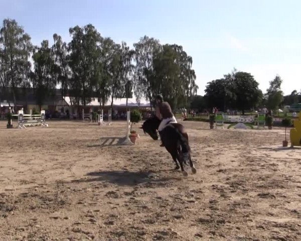 Großes Reit- und Springturnier Herbern 2014