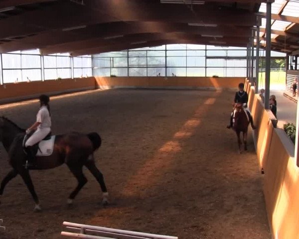 Großes Reit- und Springturnier Herbern 2014