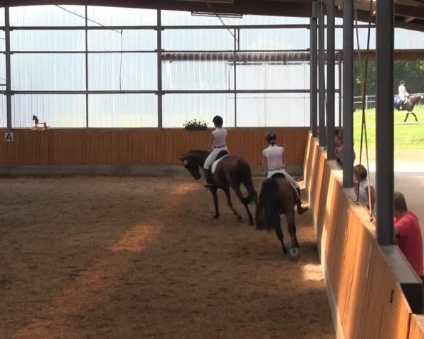 Großes Reit- und Springturnier Herbern 2014