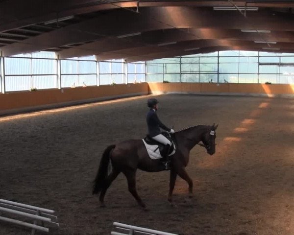 Großes Reit- und Springturnier Herbern 2014
