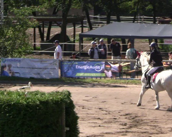 Equestrian Show Berlin-Waldesruh 2025