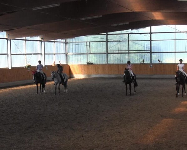 Großes Reit- und Springturnier Herbern 2014