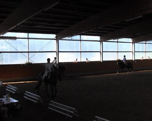 Großes Reit- und Springturnier Herbern 2014