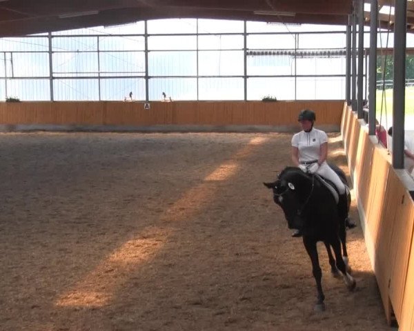 Großes Reit- und Springturnier Herbern 2014