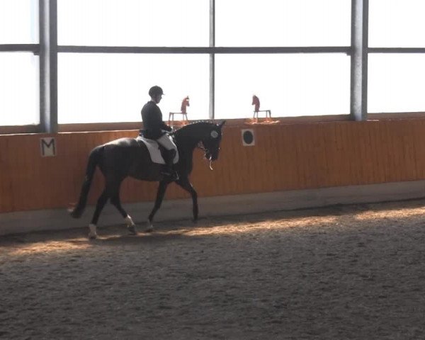 Großes Reit- und Springturnier Herbern 2014