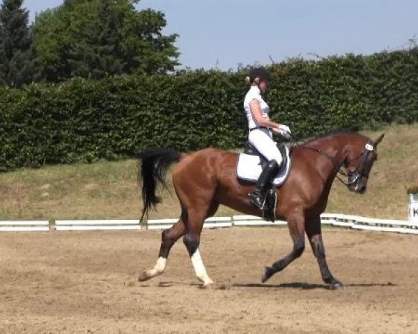 Dressur- und Springturnier Vlotho-Exter 2014