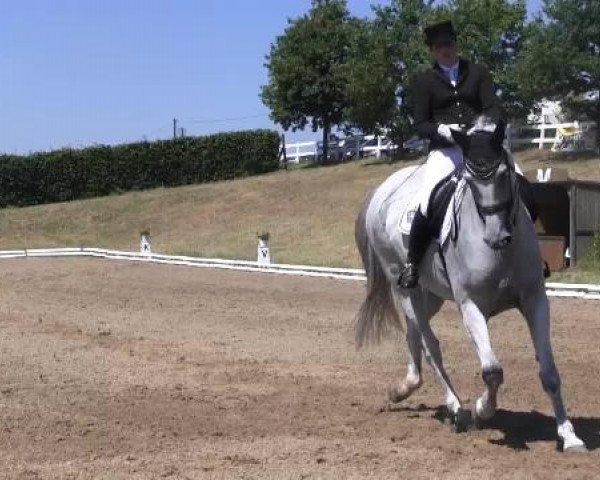 Dressur- und Springturnier Vlotho-Exter 2014