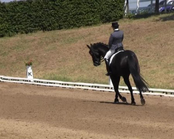 Dressur- und Springturnier Vlotho-Exter 2014