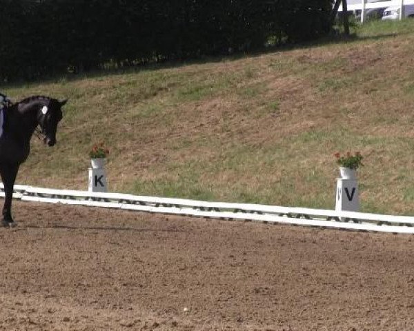 Dressur- und Springturnier Vlotho-Exter 2014
