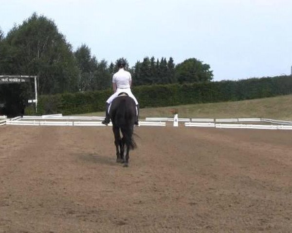 Dressur- und Springturnier Vlotho-Exter 2014