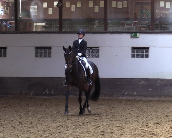 Reitturnier Ascheberg 2021