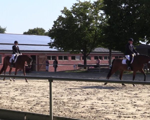 Reitturnier Ascheberg 2021