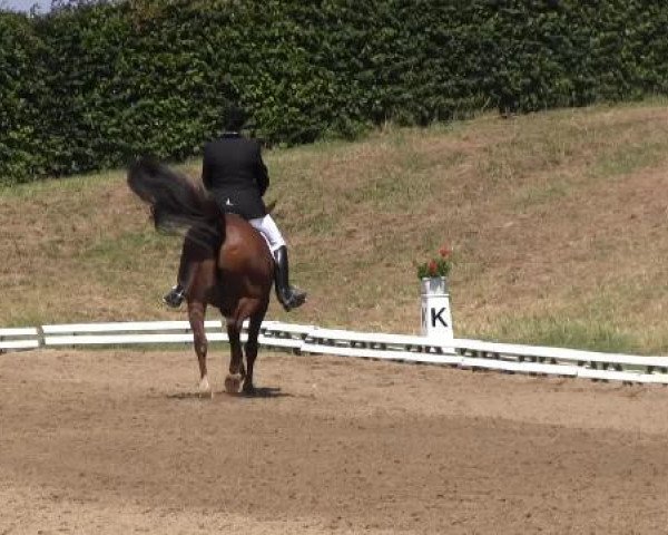 Dressur- und Springturnier Vlotho-Exter 2014