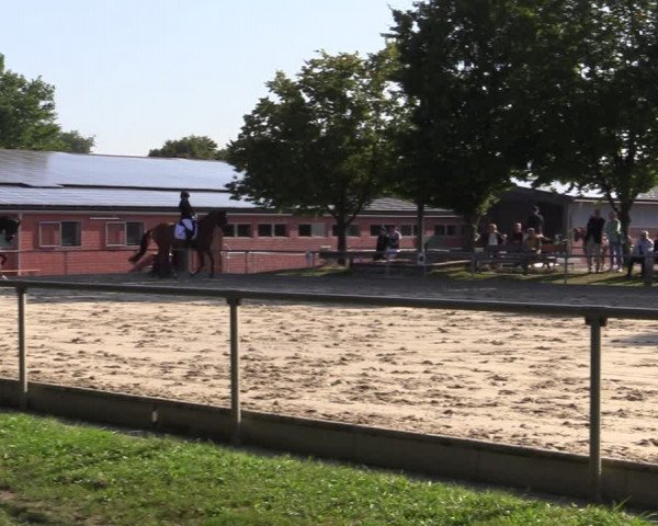 Reitturnier Ascheberg 2021