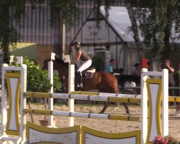 Großes Reit- und Springturnier Herbern 2014