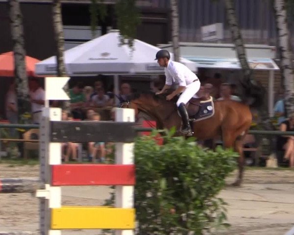 Großes Reit- und Springturnier Herbern 2014