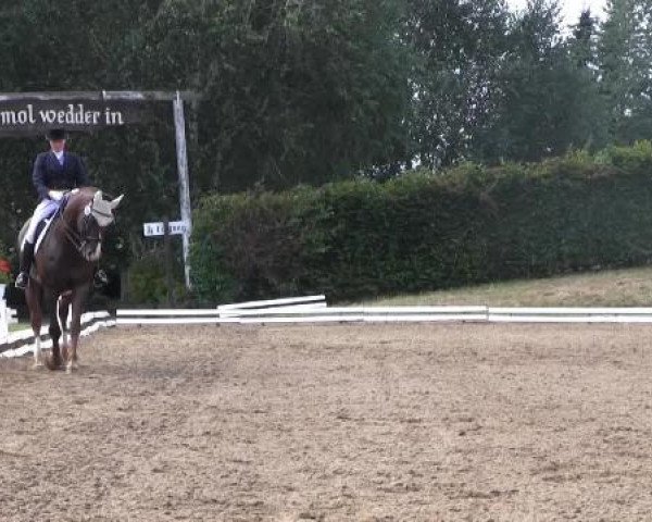 Dressur- und Springturnier Vlotho-Exter 2014