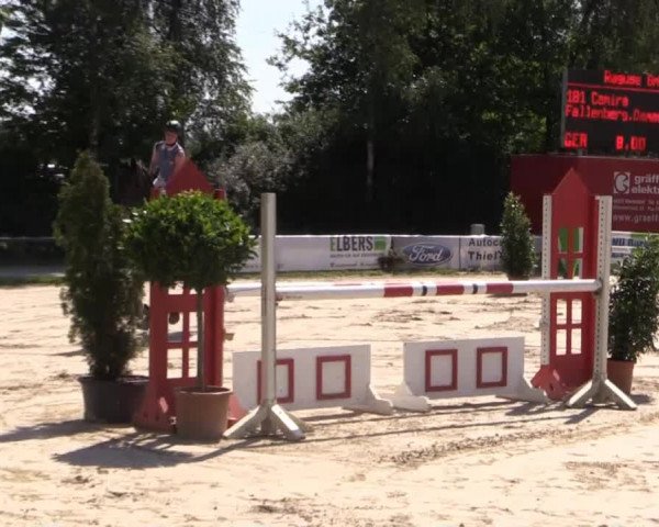 Großes Reit- und Springturnier Herbern 2014