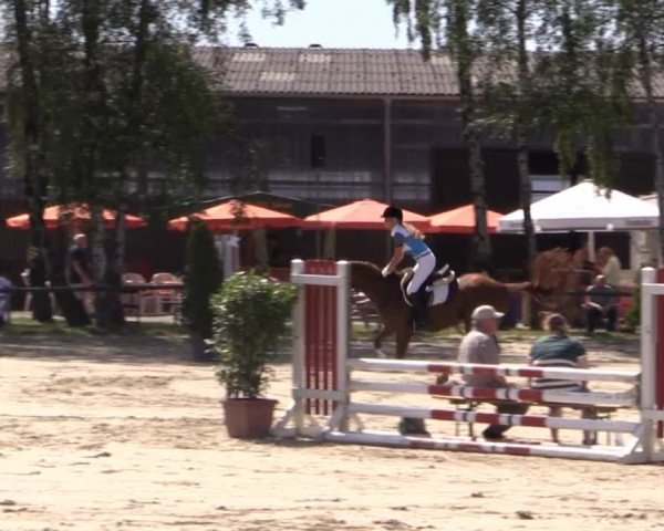 Großes Reit- und Springturnier Herbern 2014