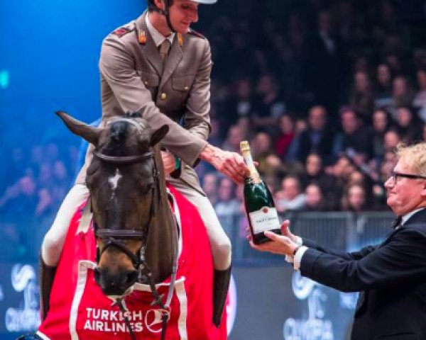 broodmare Contanga 3 (Oldenburg show jumper, 2004, from Catoki)
