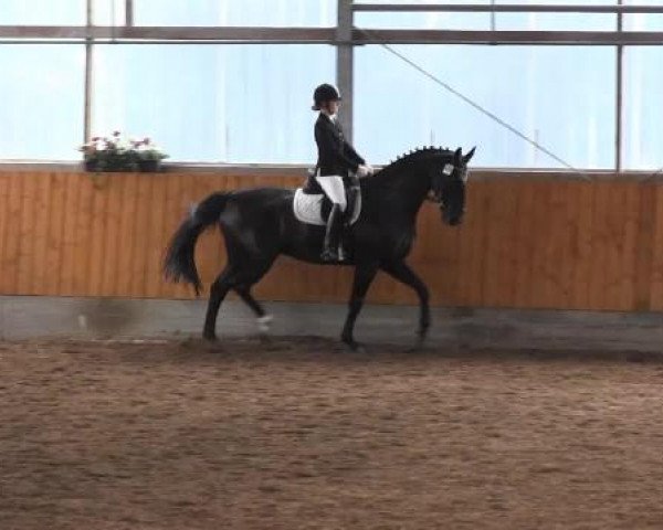 Großes Reit- und Springturnier Herbern 2014