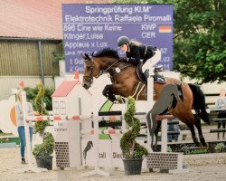Zuchtstute Eine wie Keine 13 (KWPN (Niederländisches Warmblut), 2012, von Applaus)
