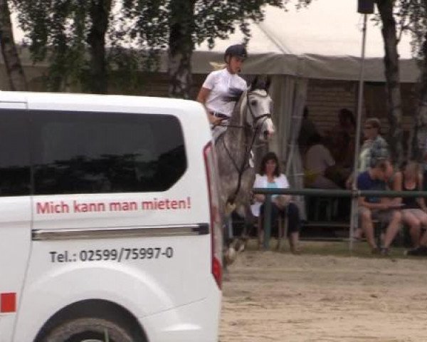 Großes Reit- und Springturnier Herbern 2014