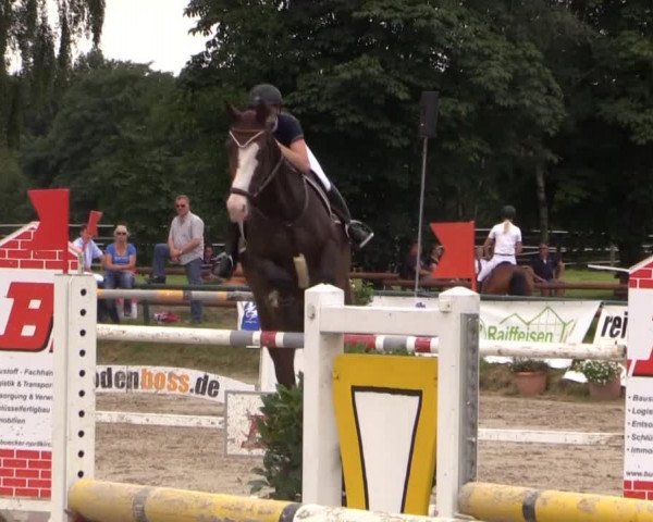 Großes Reit- und Springturnier Herbern 2014