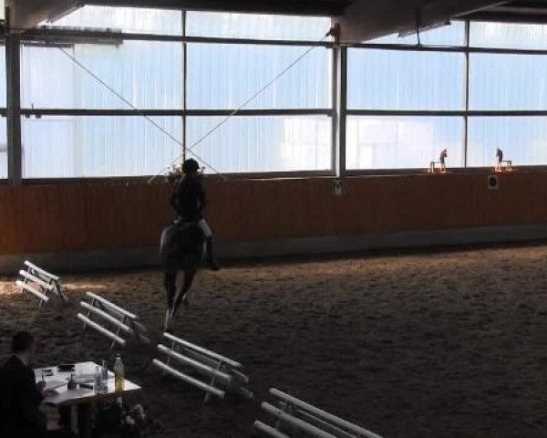 Großes Reit- und Springturnier Herbern 2014