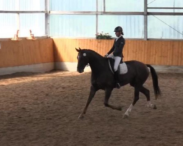 Großes Reit- und Springturnier Herbern 2014