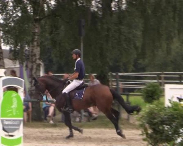 Großes Reit- und Springturnier Herbern 2014