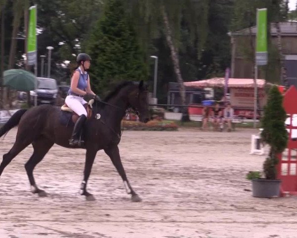Großes Reit- und Springturnier Herbern 2014