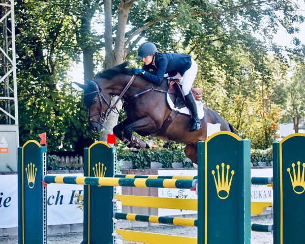jumper Quality Paul (Estonian Sport, 2012, from Quality Time)