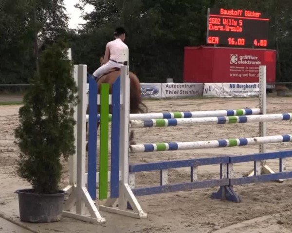 Großes Reit- und Springturnier Herbern 2014