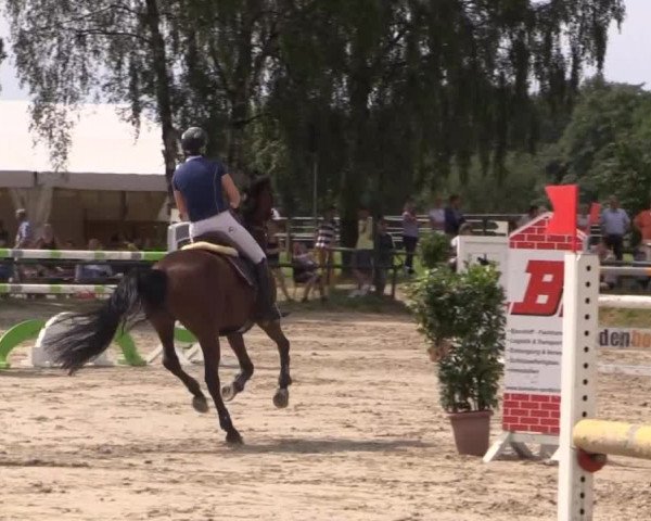 Großes Reit- und Springturnier Herbern 2014