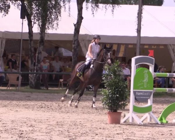 Großes Reit- und Springturnier Herbern 2014
