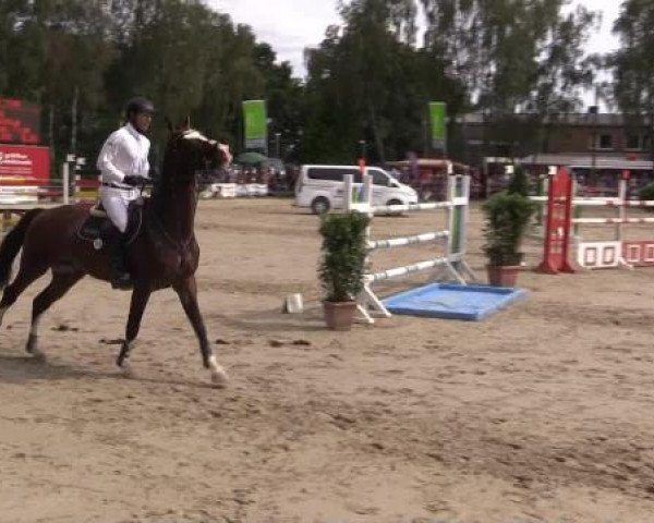 Großes Reit- und Springturnier Herbern 2014