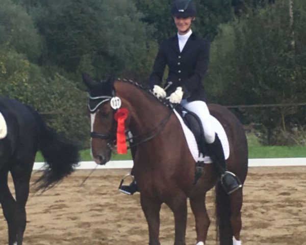 dressage horse Donna Peppina K (Bavarian, 2004, from French Kiss)